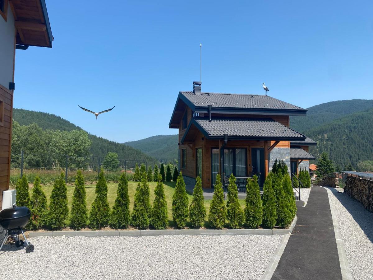 Villa Hillvill à Govedartsi Extérieur photo